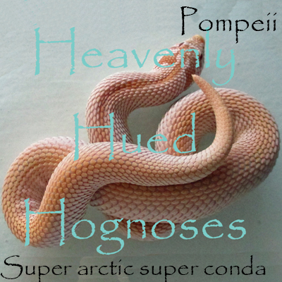 Pompeii